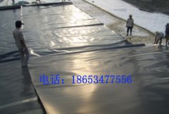 冬季土工膜施工时建议选用黑色土工膜