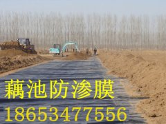 养殖用防渗膜在选购时要考虑哪些